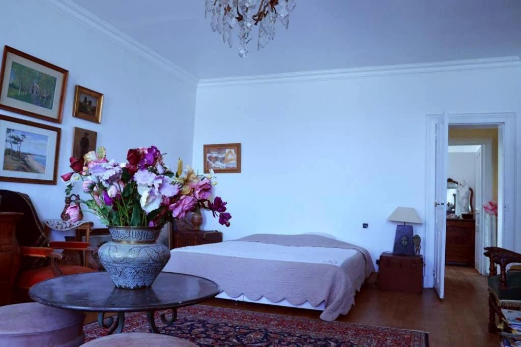 King Room with Garden View