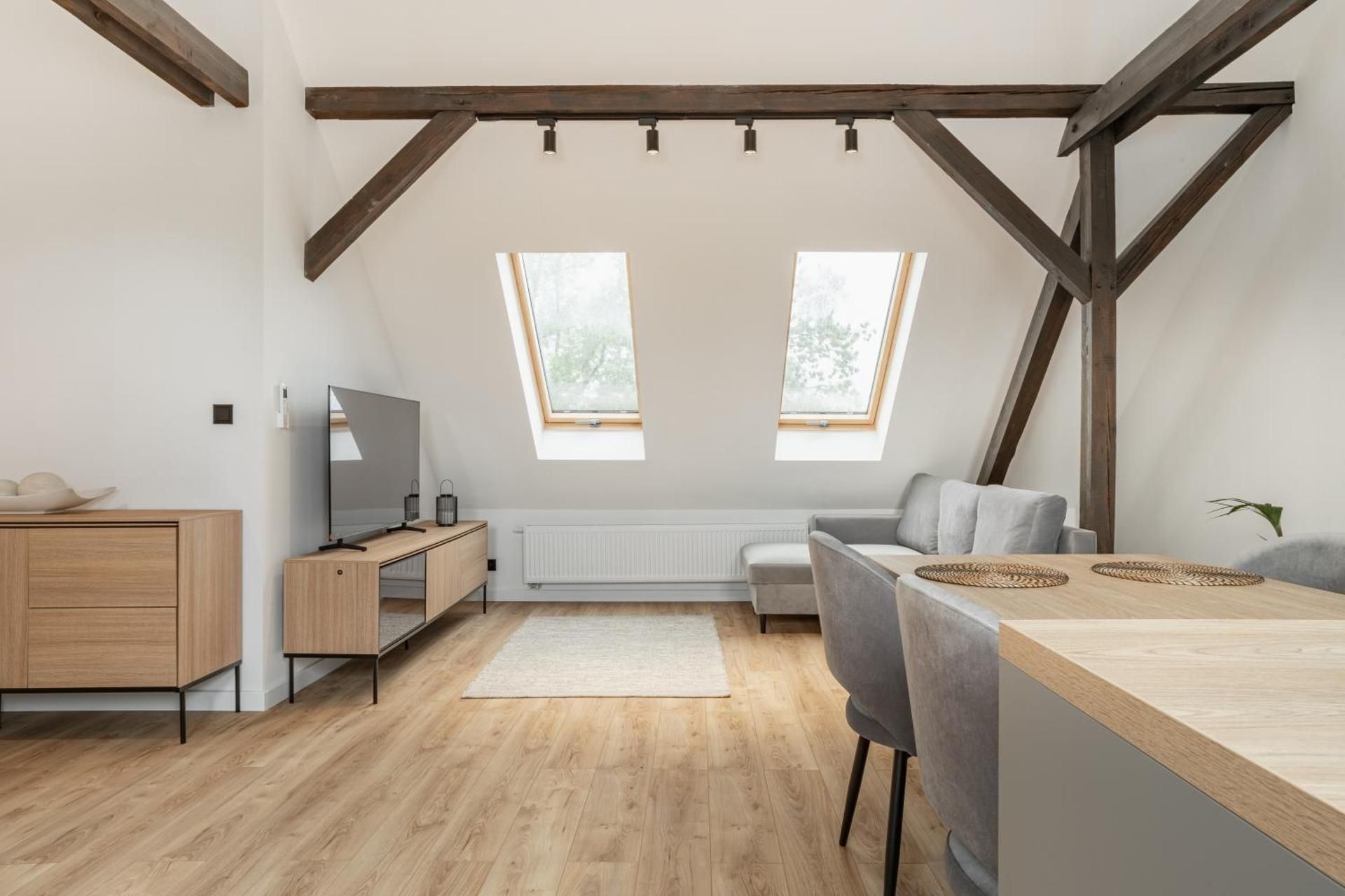 Deluxe One-Bedroom Apartment