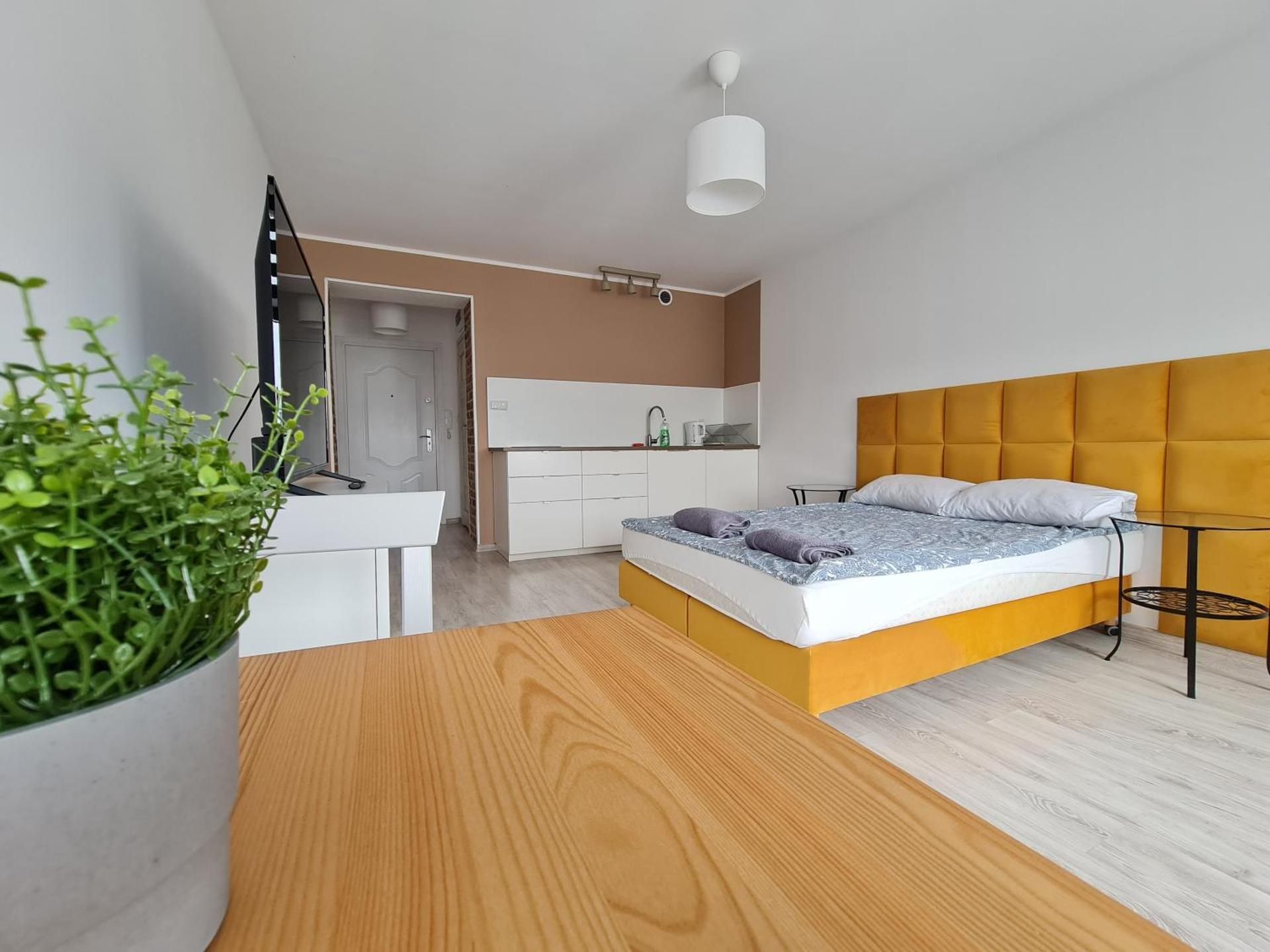 Studio Apartment
