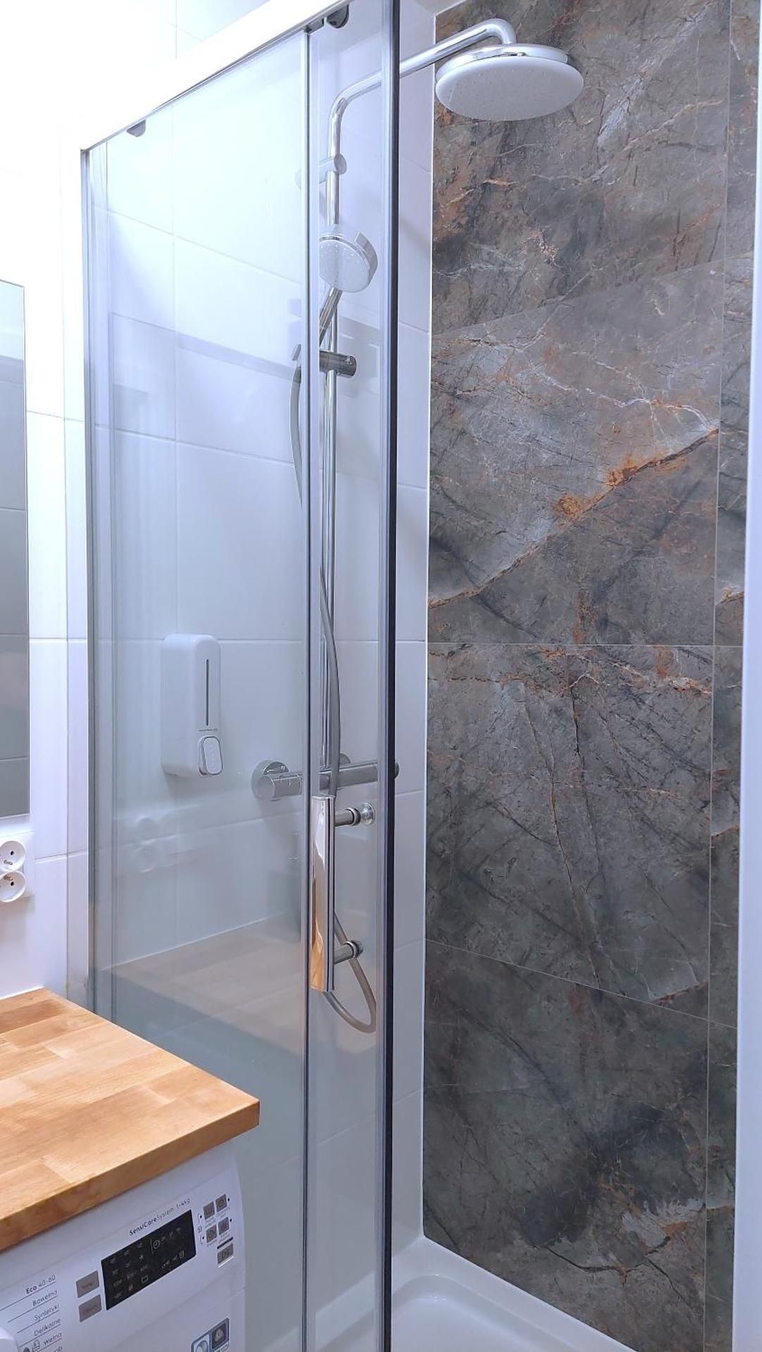 Apartment with Shower