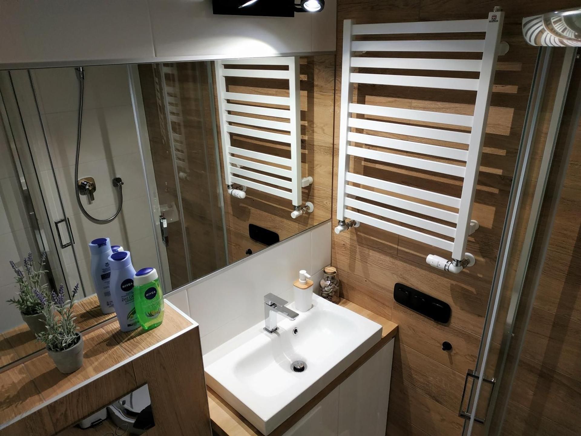 Apartment with Shower