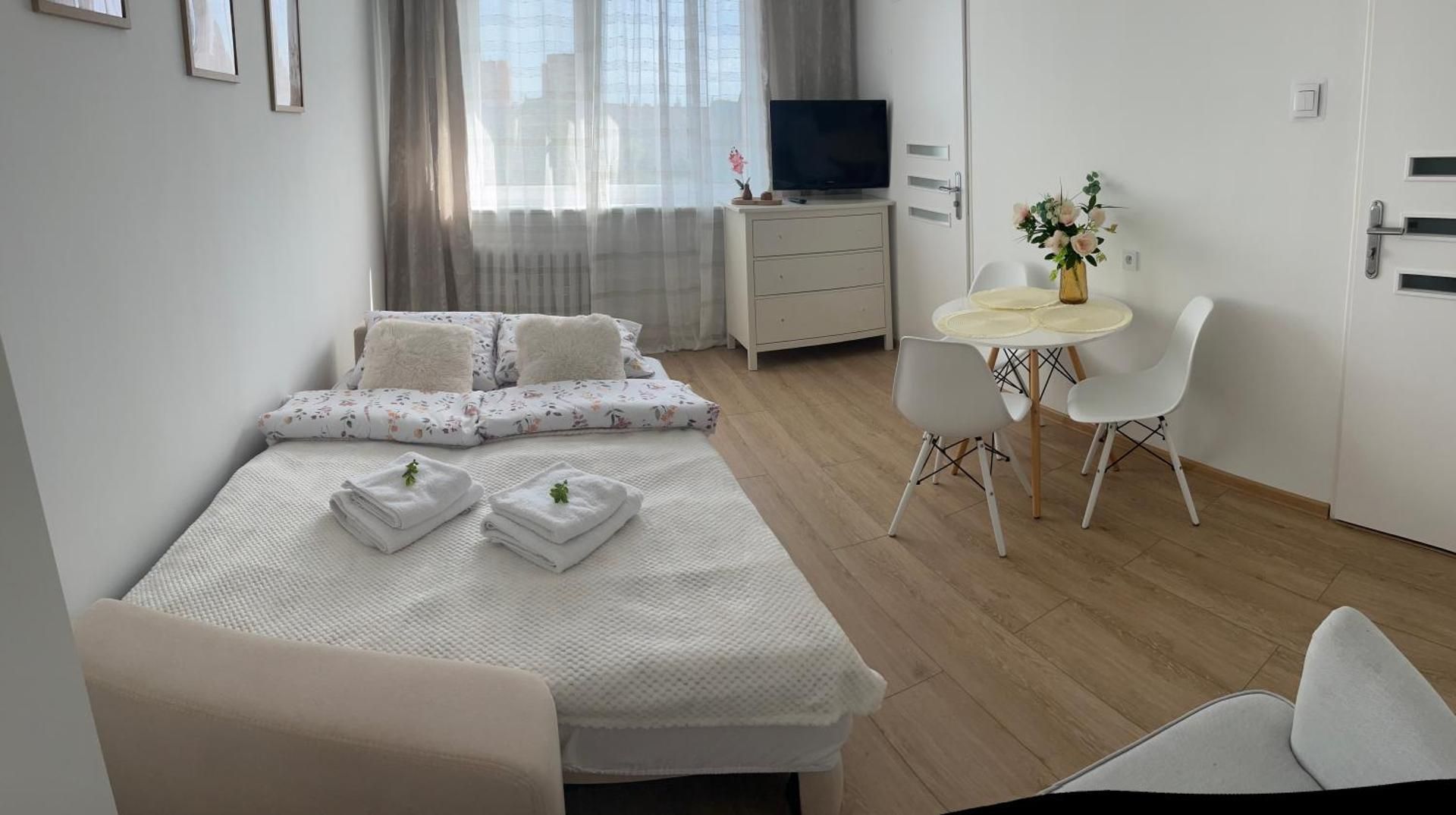 Superior One-Bedroom Apartment