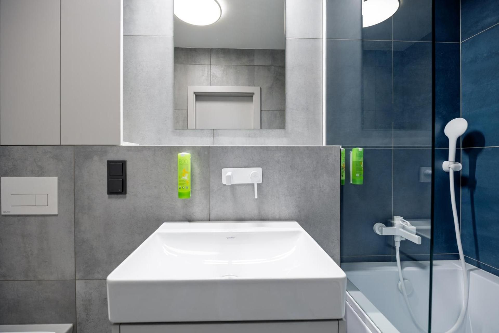 Deluxe One-Bedroom Apartment