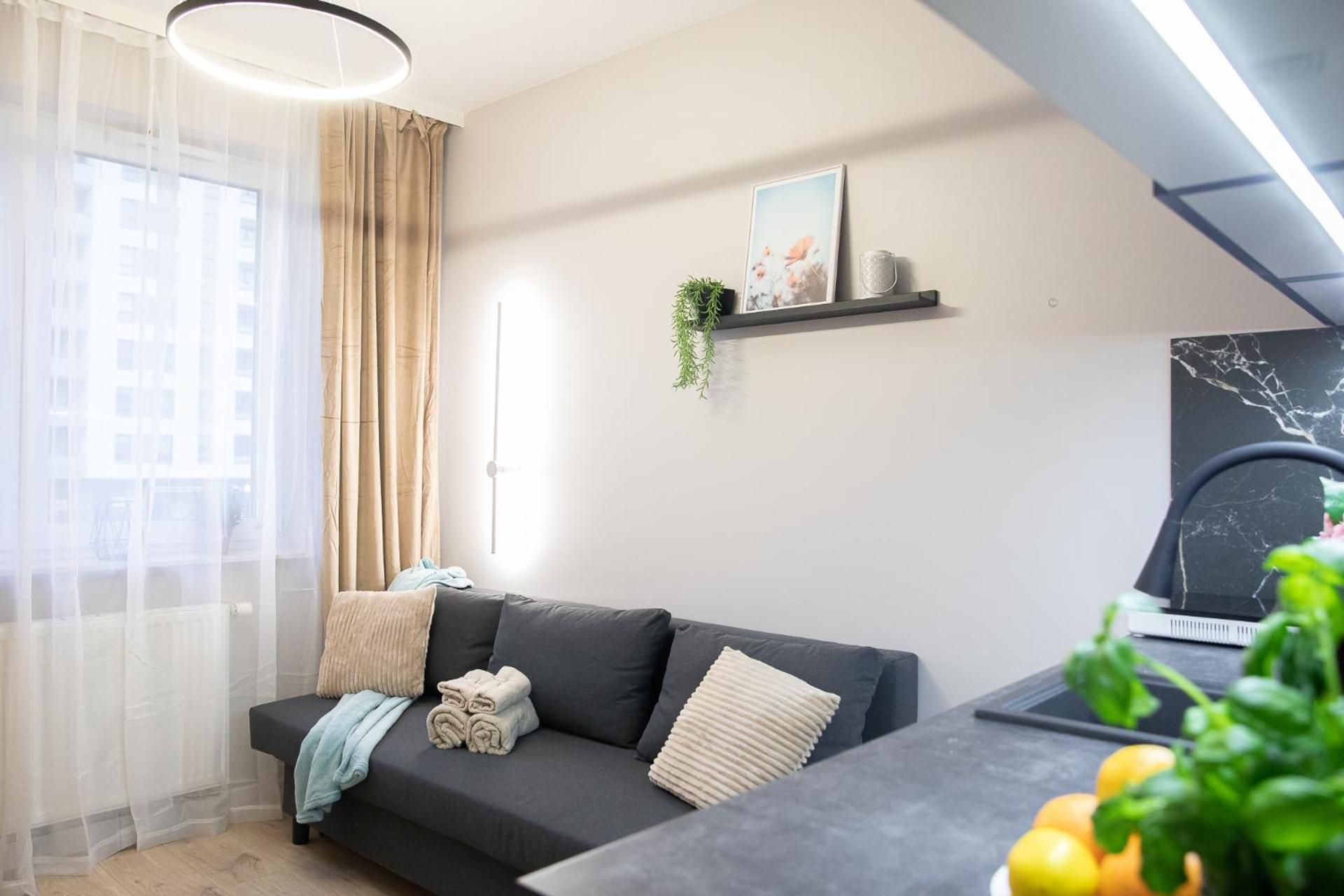 Studio with Sofa Bed