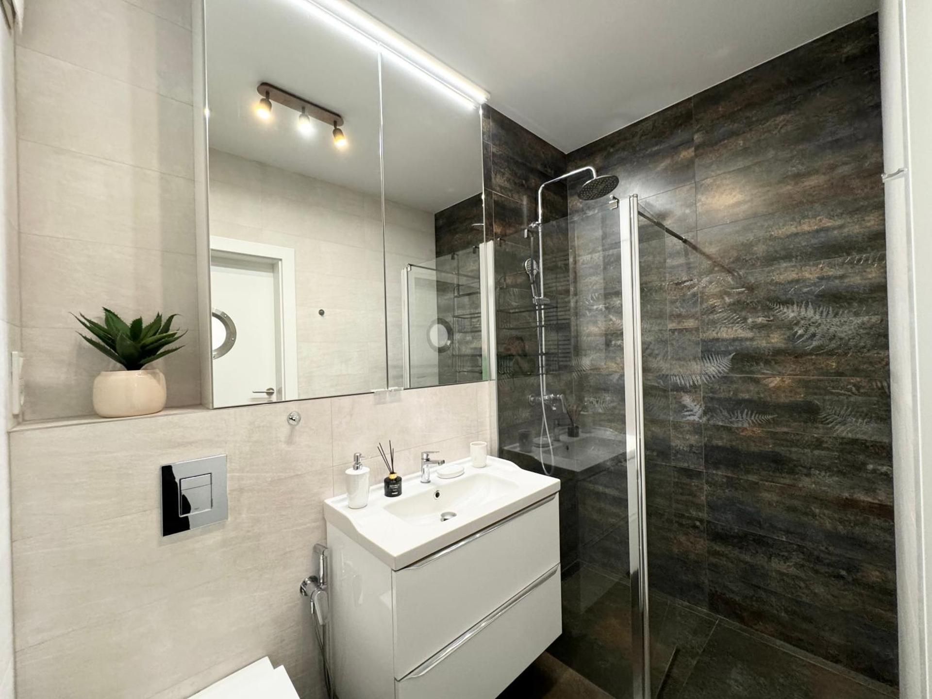 One-Bedroom Apartment with City View