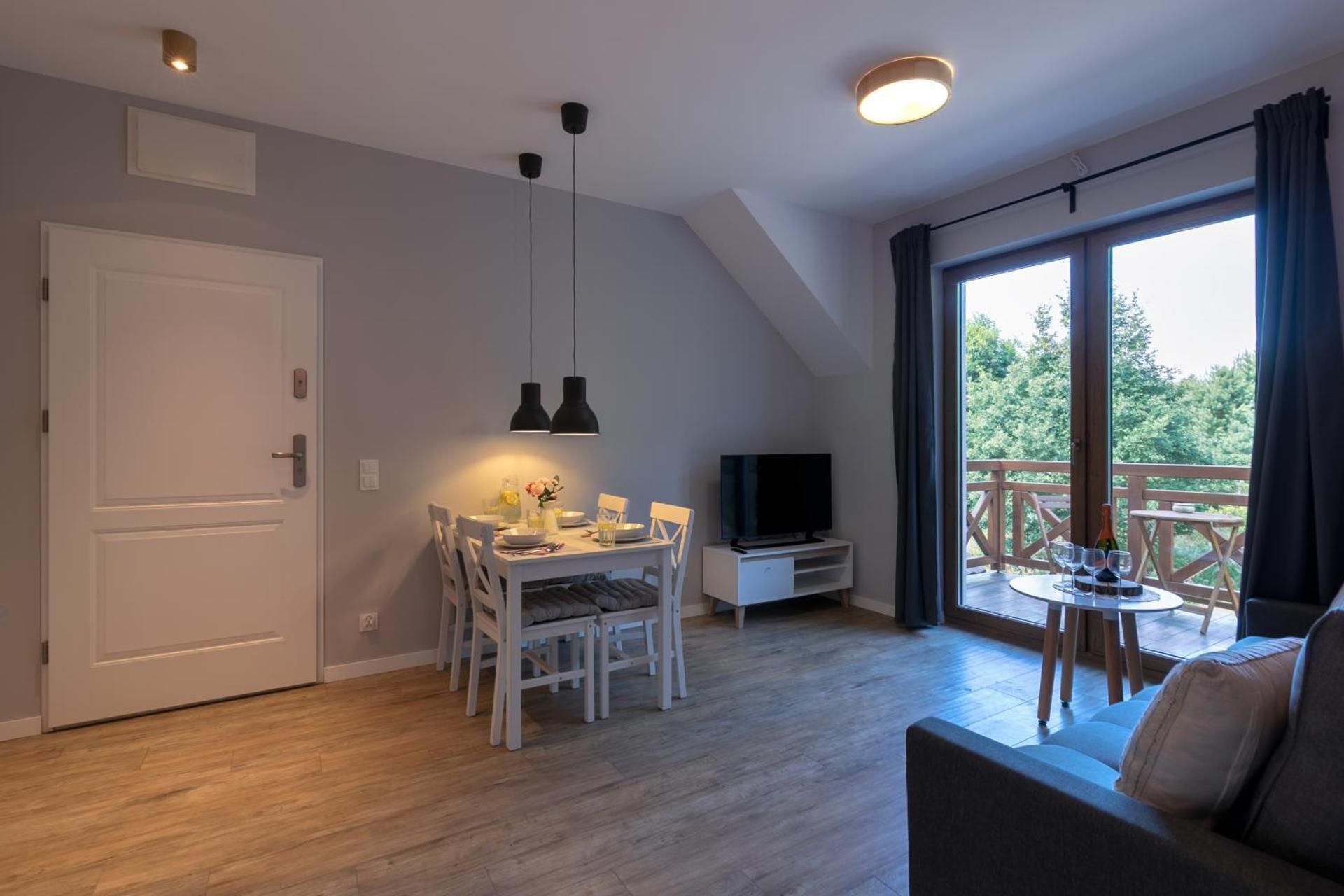 Deluxe One-Bedroom Apartment