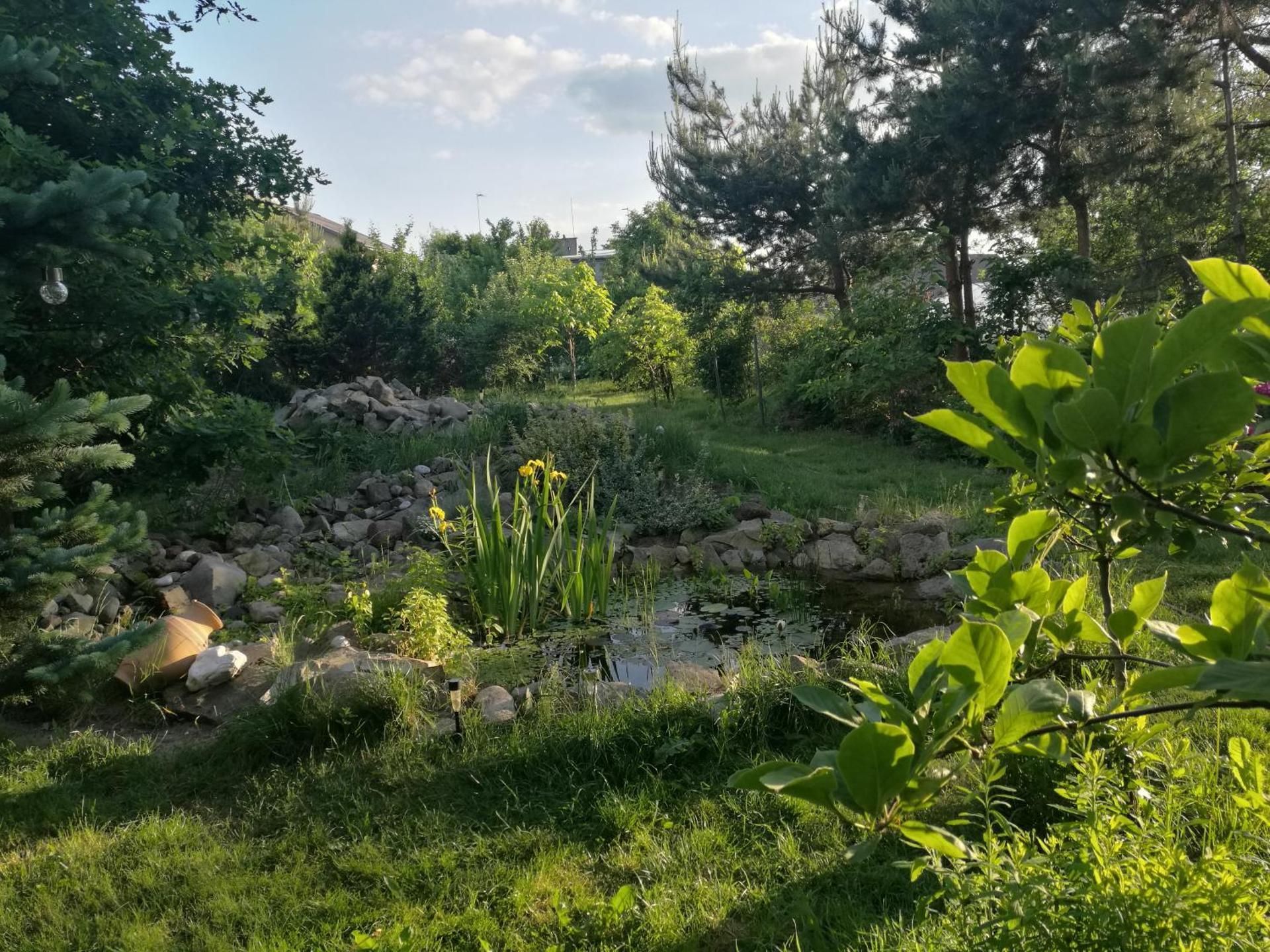 Wellspring
