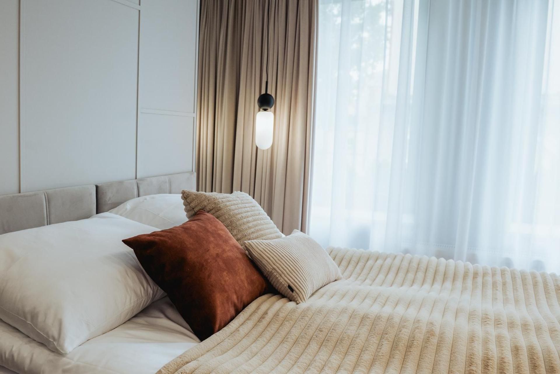 Deluxe One-Bedroom Apartment
