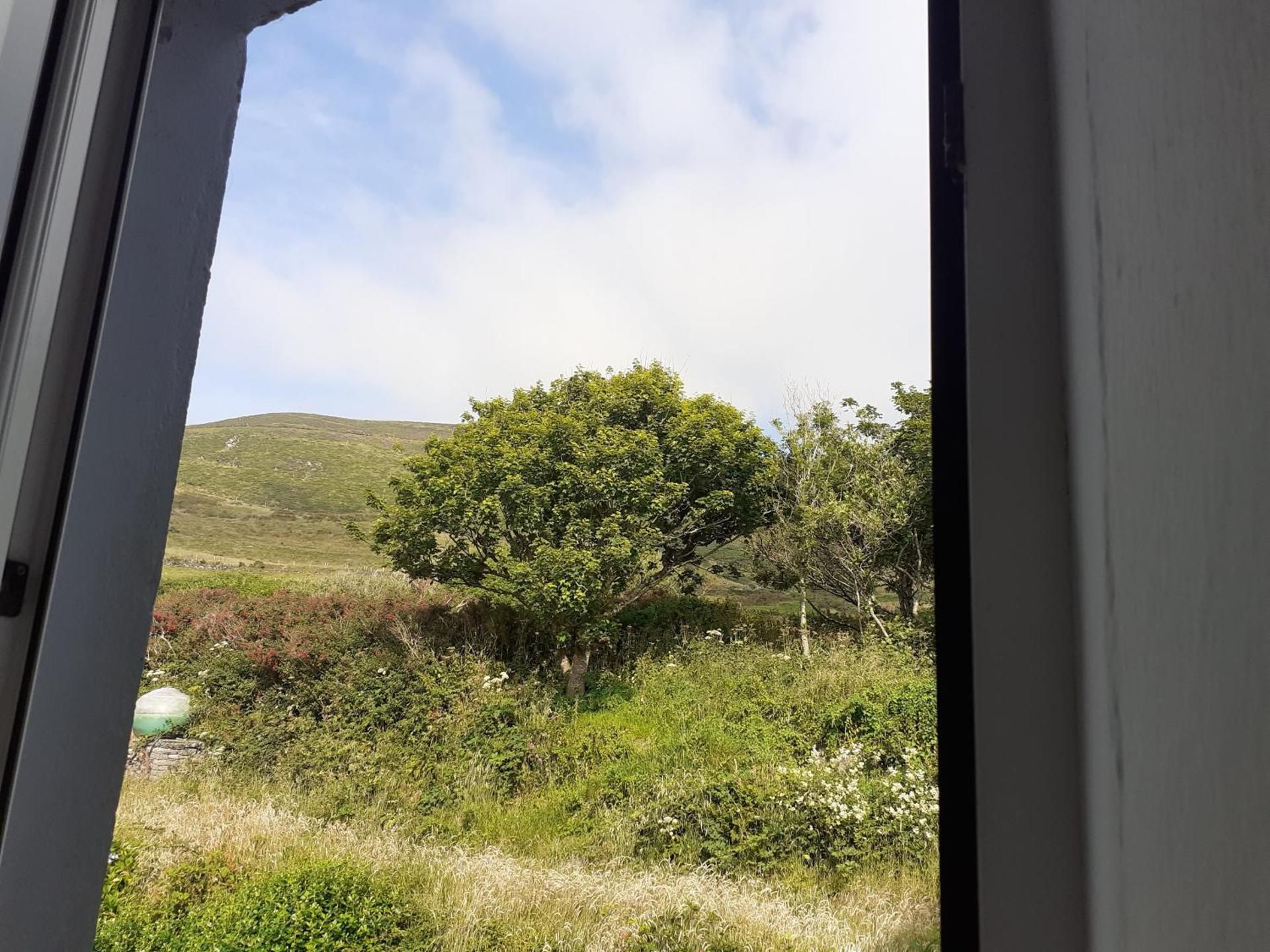 Double Room with Mountain View 2