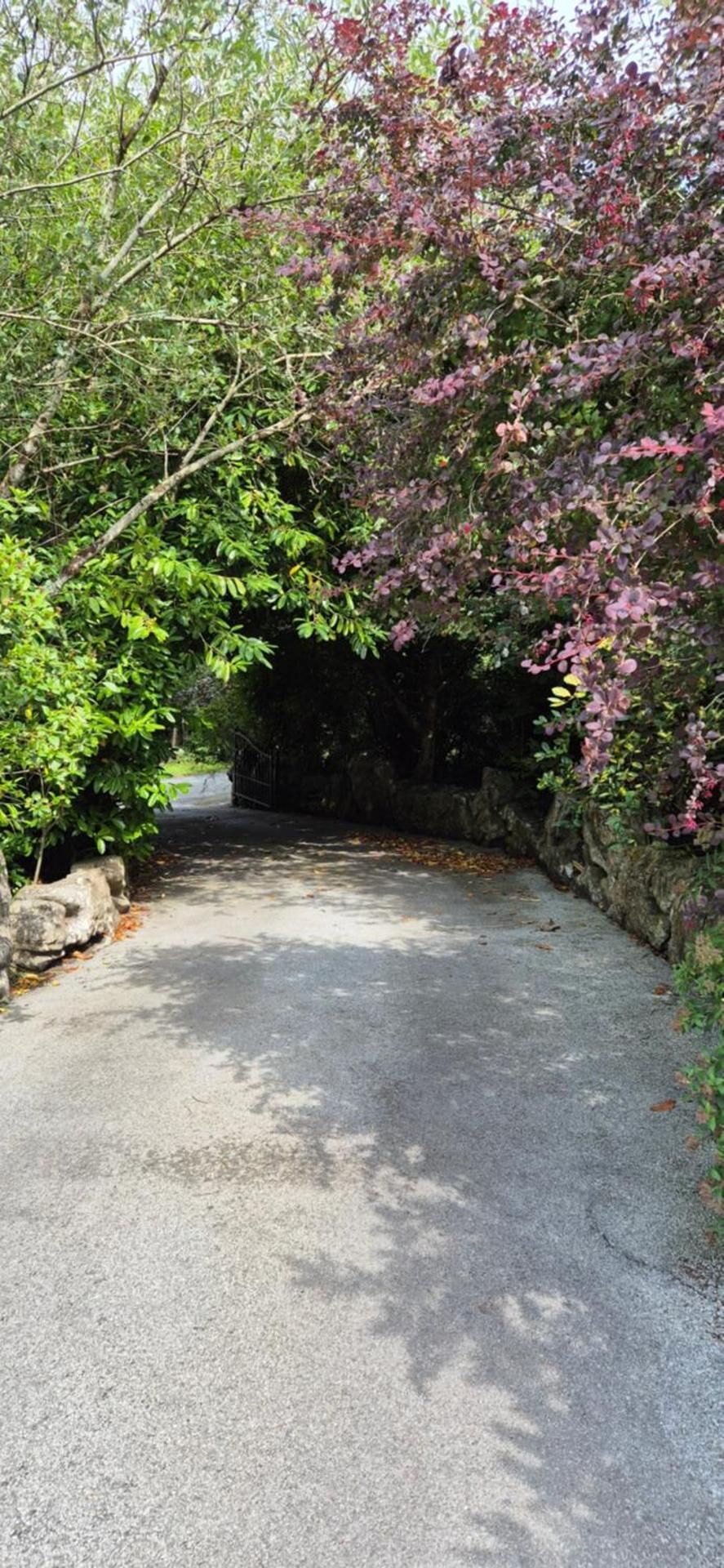 Rock garden