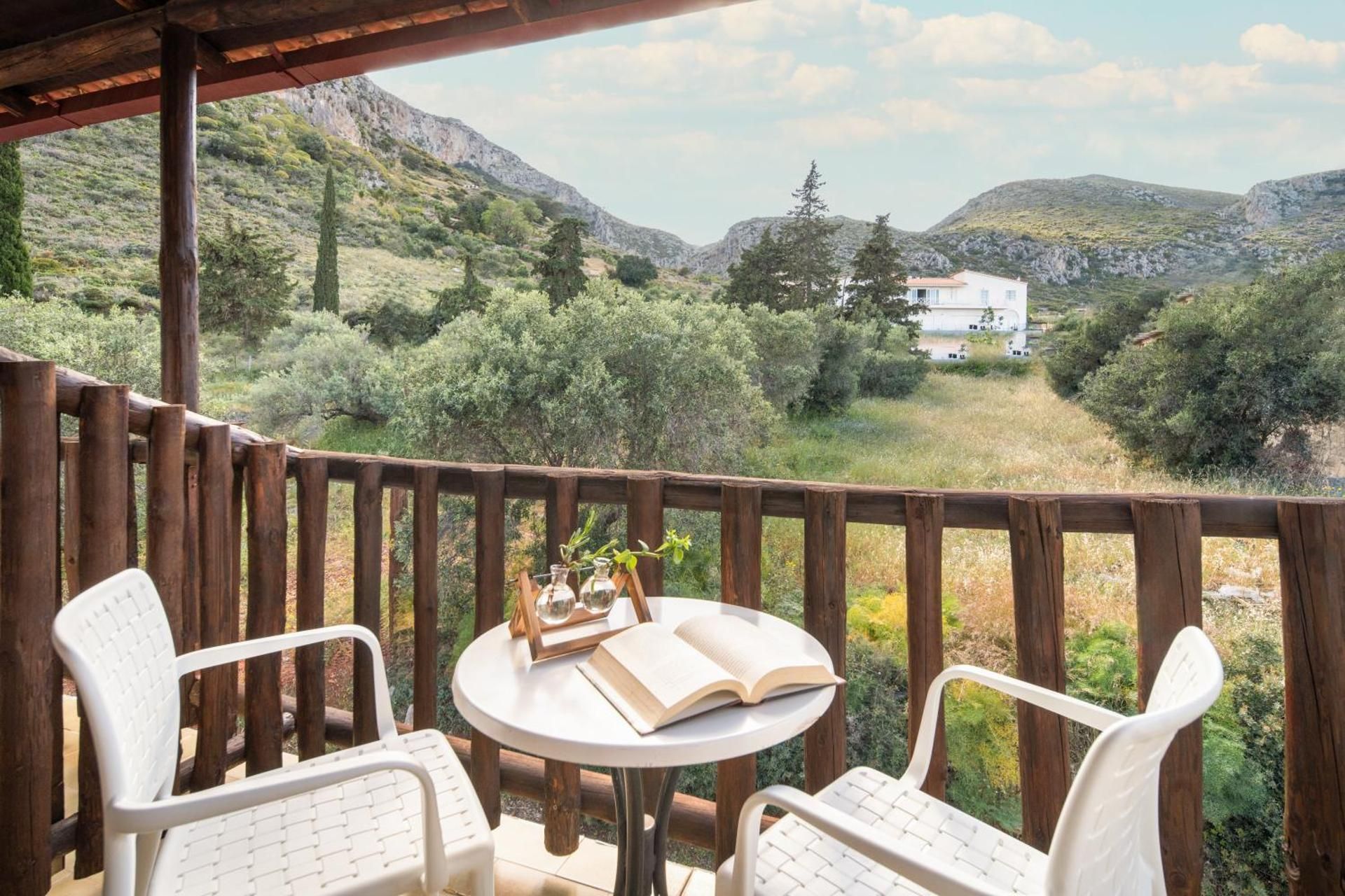 Economy One-Bedroom Apartment with Mountain View