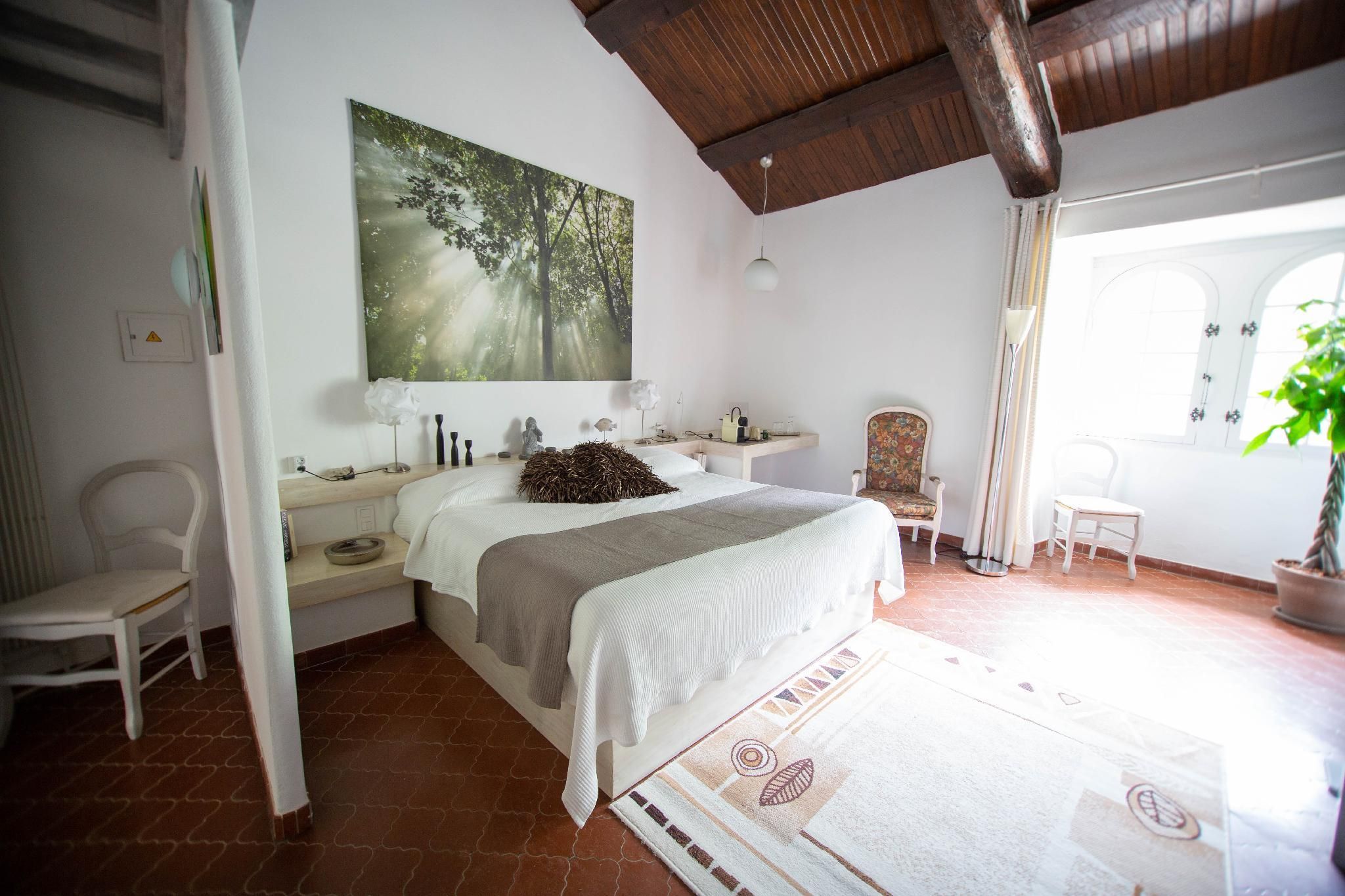 Mezzanine Nature-Suite Junior-SDB privée