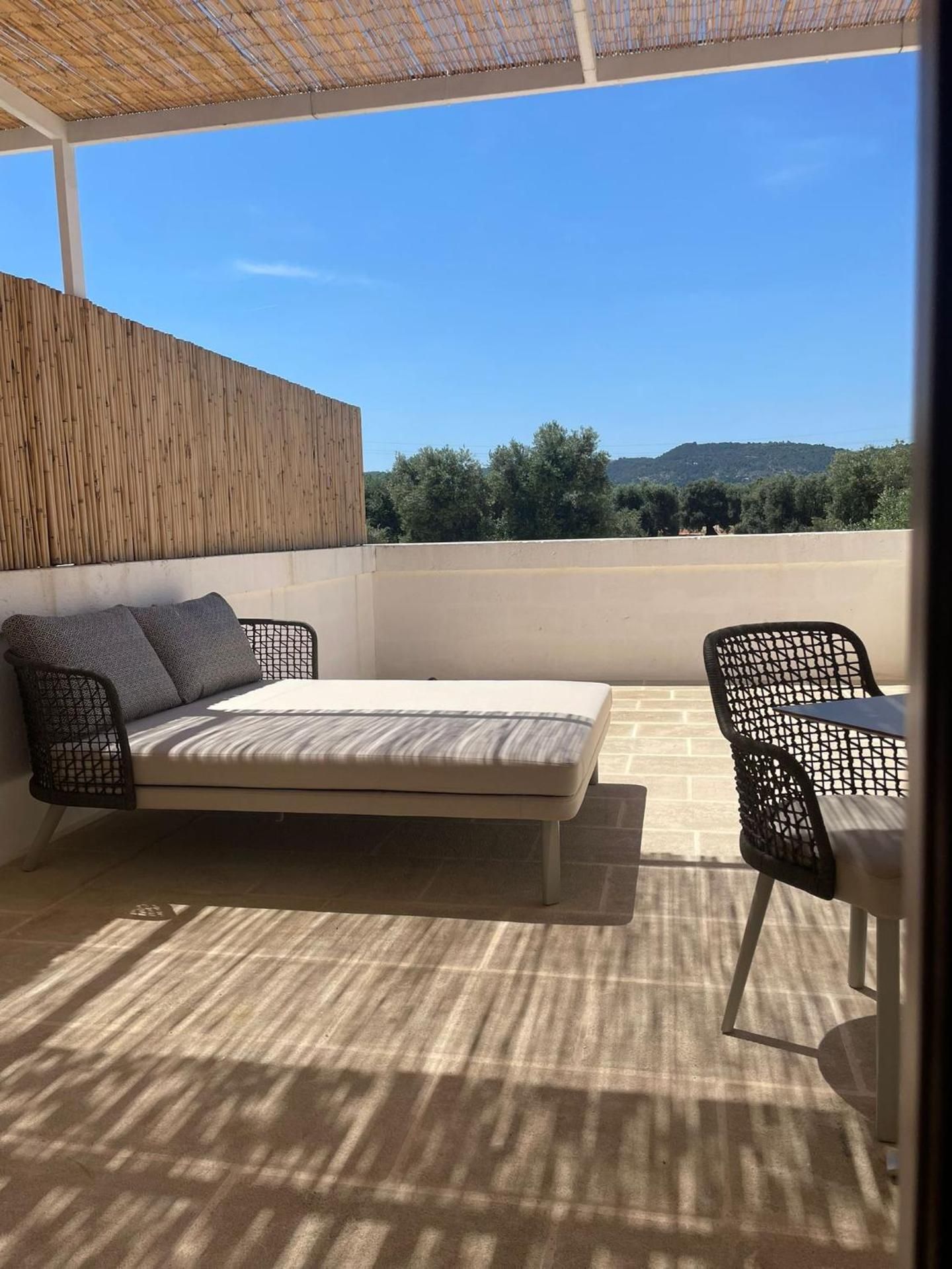 Superior Double or Twin Room with Terrace