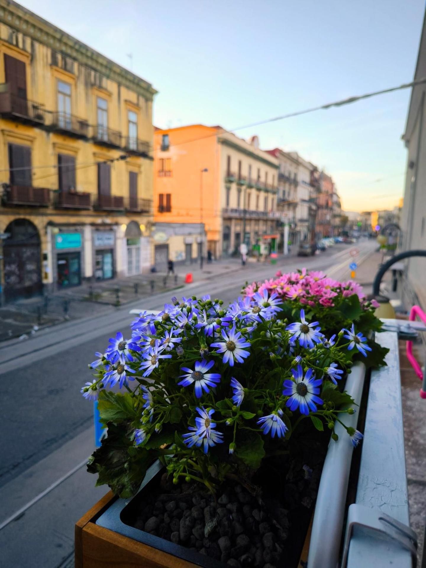 CasaMira b&b Napoli centrale