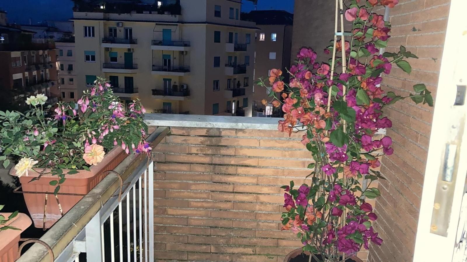 Le Mille e Una Notte