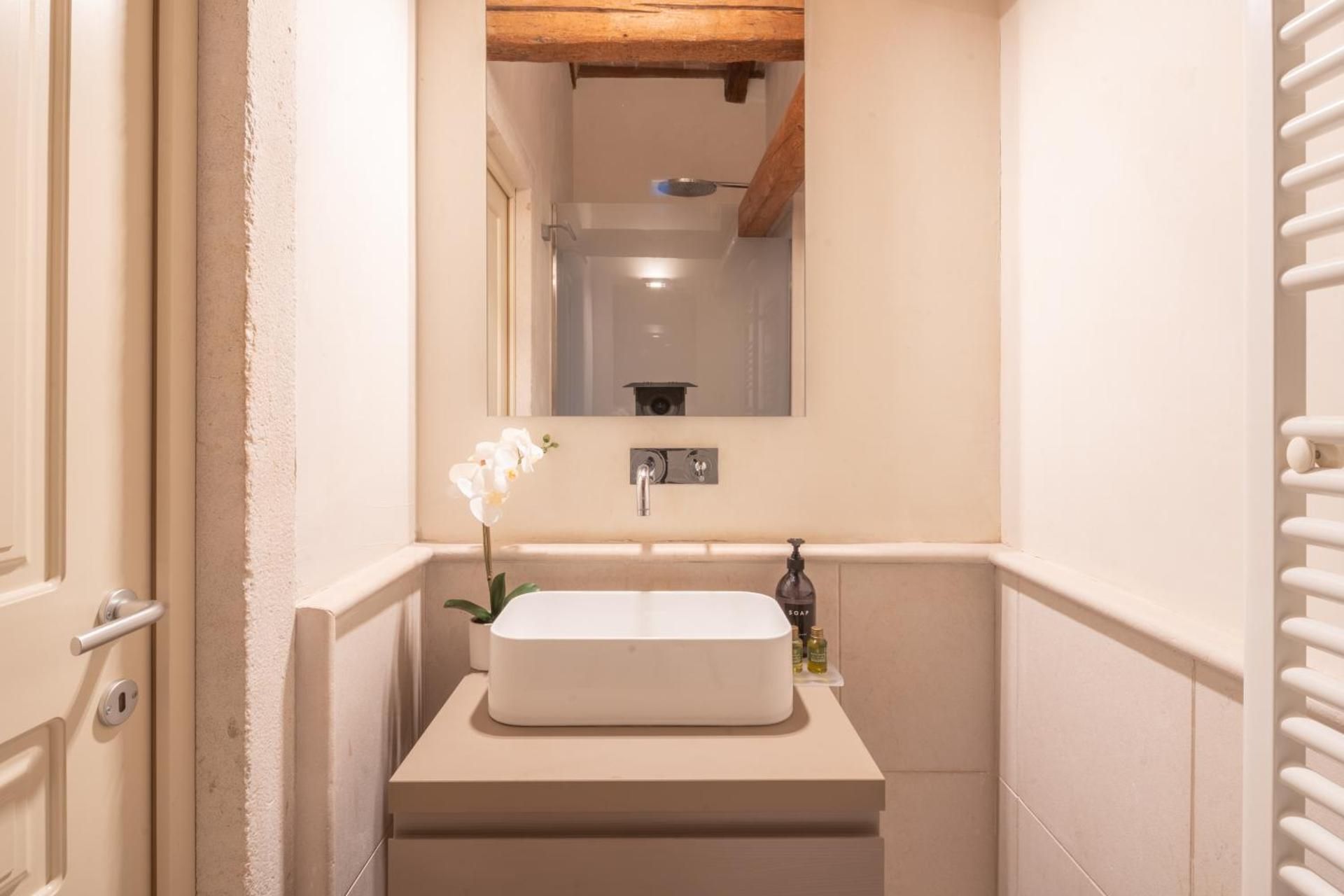 Lion Palace - San Marco R&R Apartment with Terrace 2