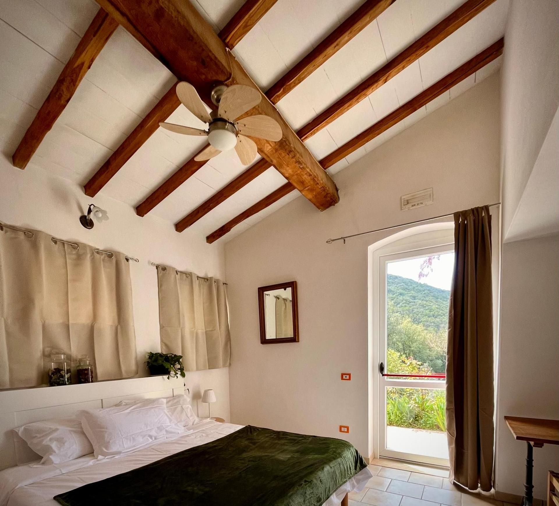 King Room with Garden View