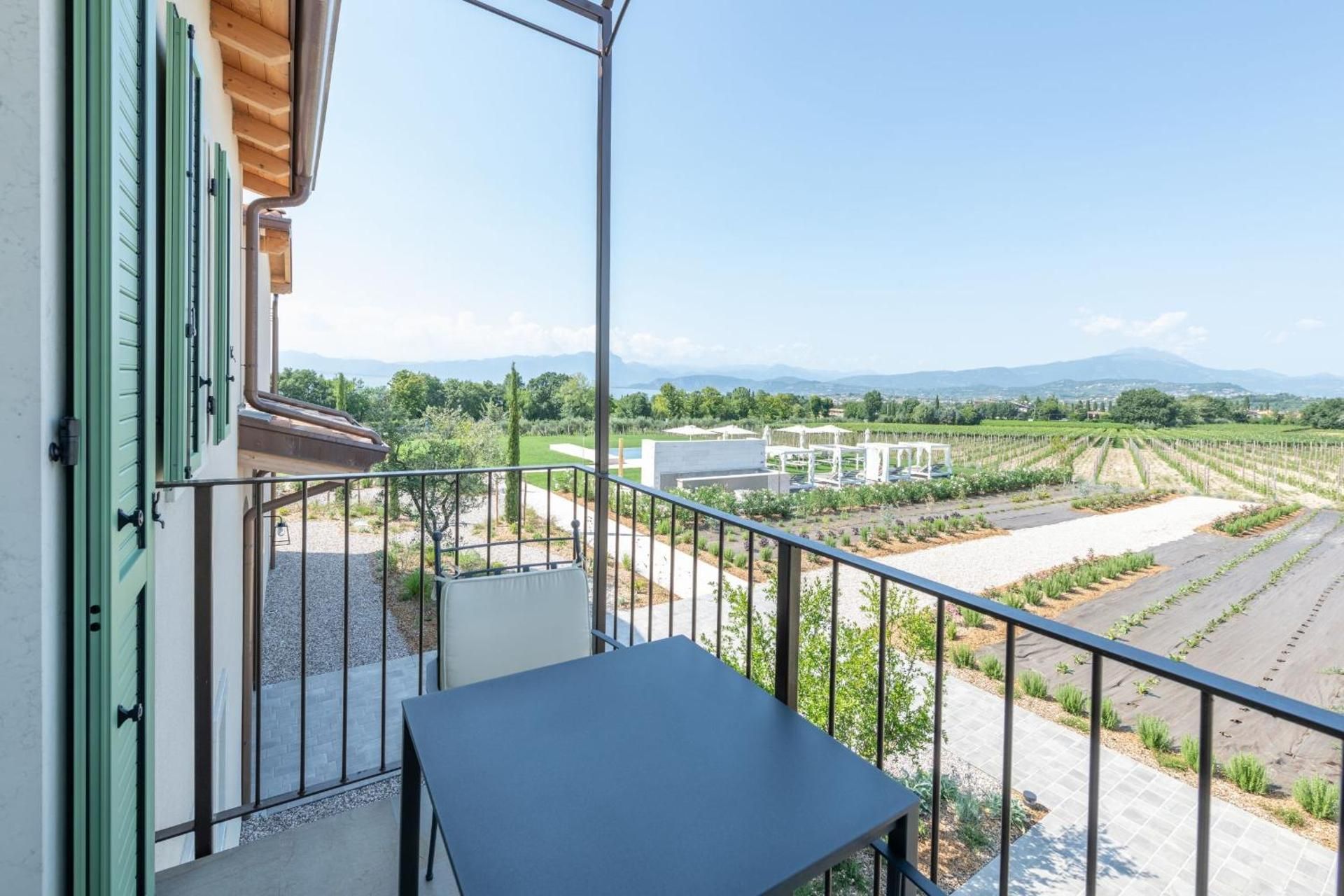 Junior Suite with Vineyard View