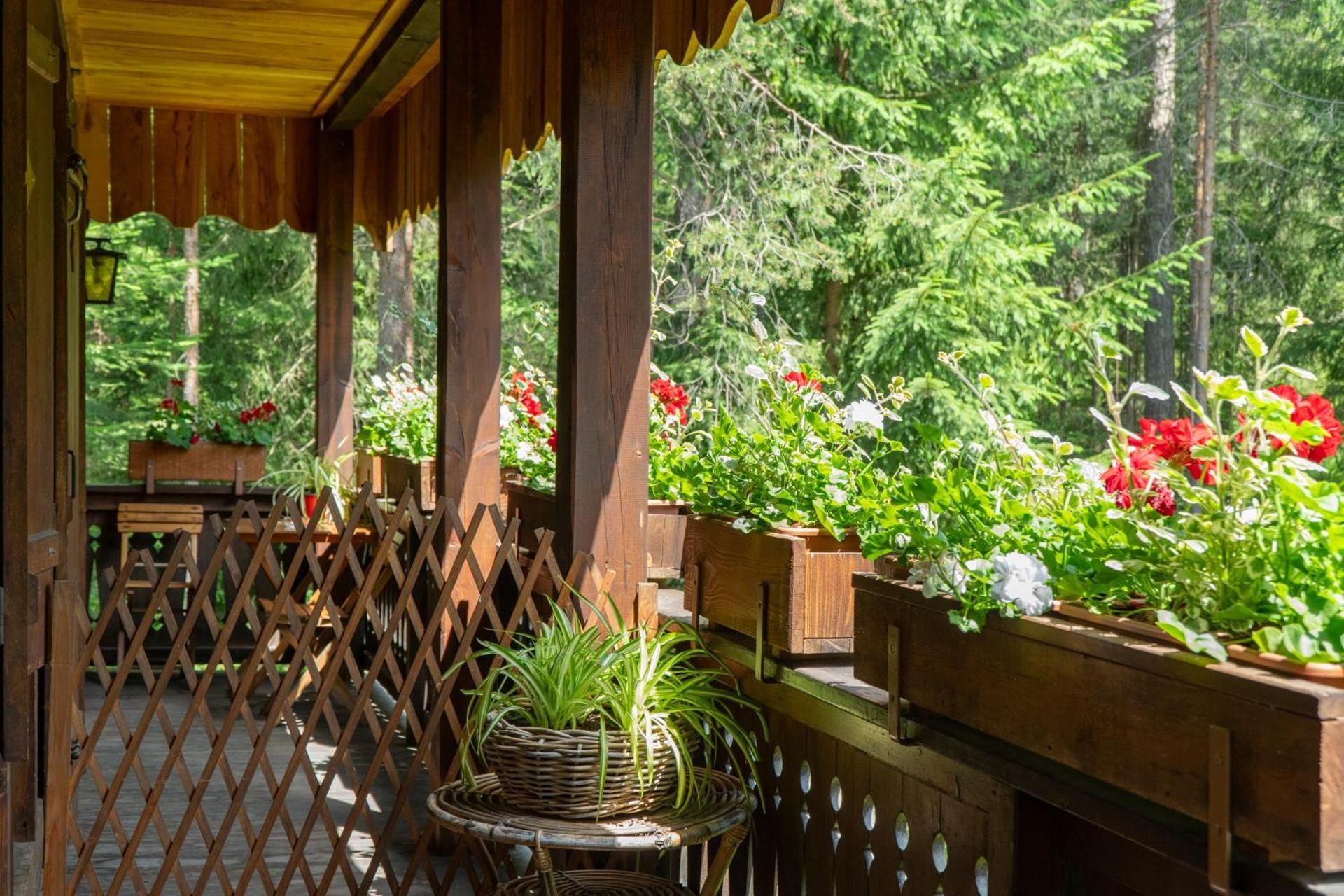 Deluxe Double or Twin Room with Balcony