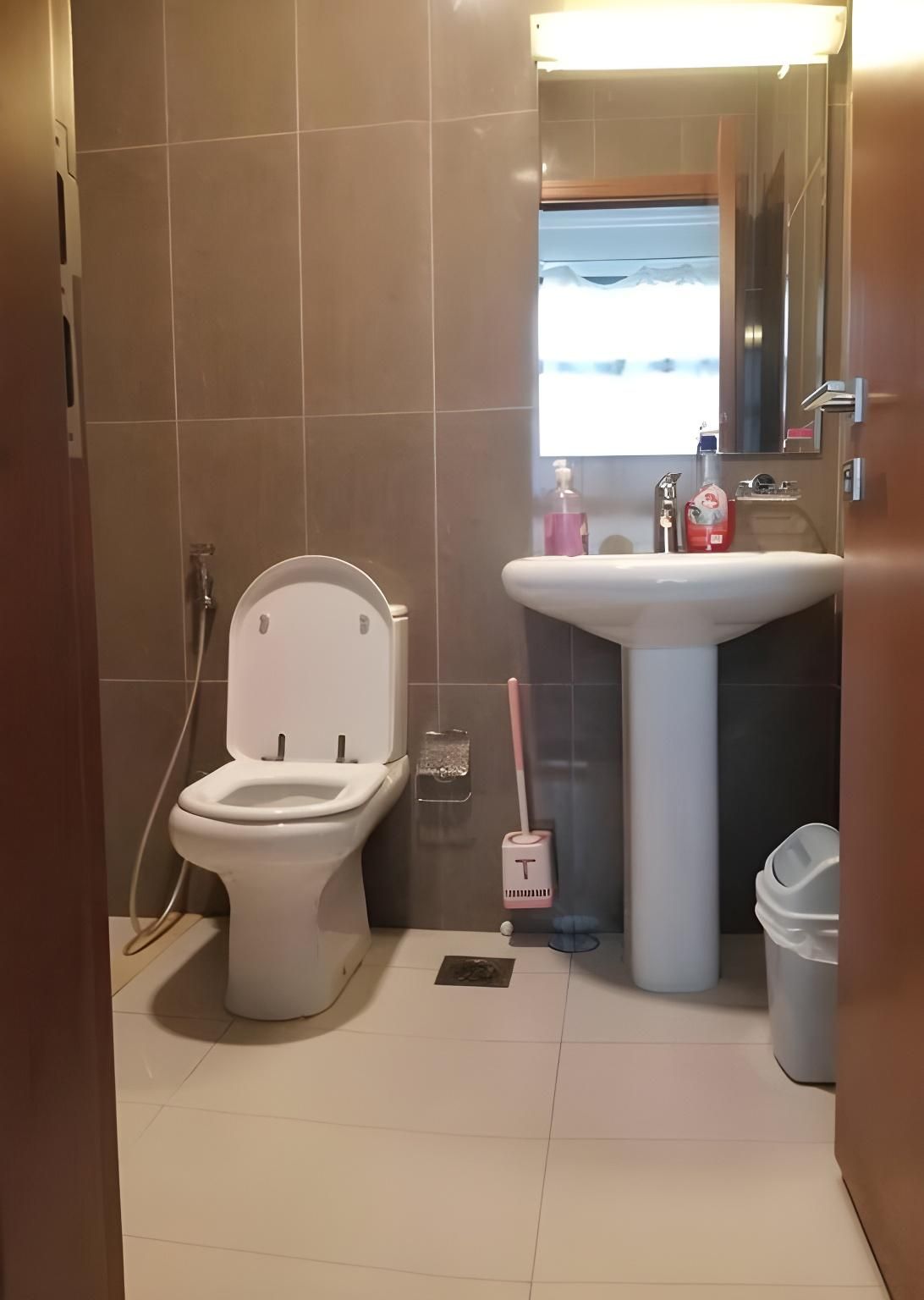 apartment - entire house or apartment