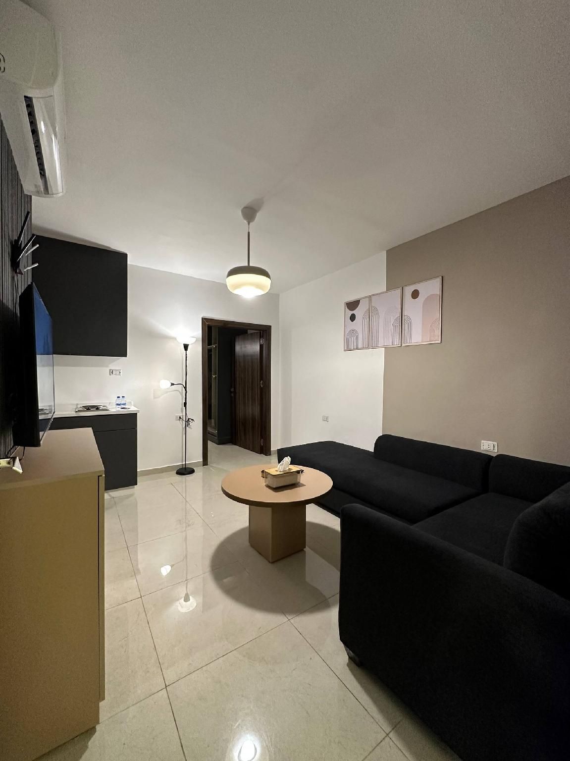 apartment - entire house or apartment