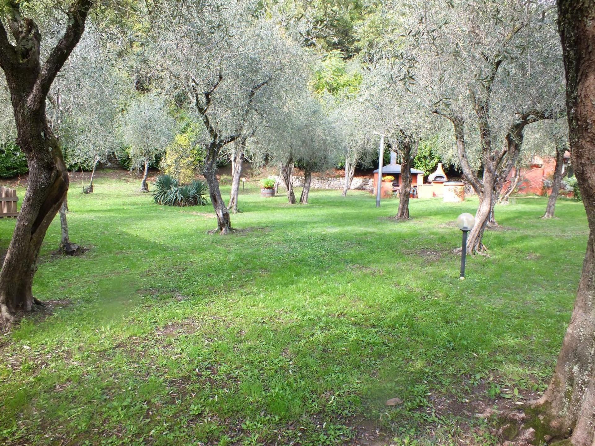 Gli Ulivi Bed & breakfast