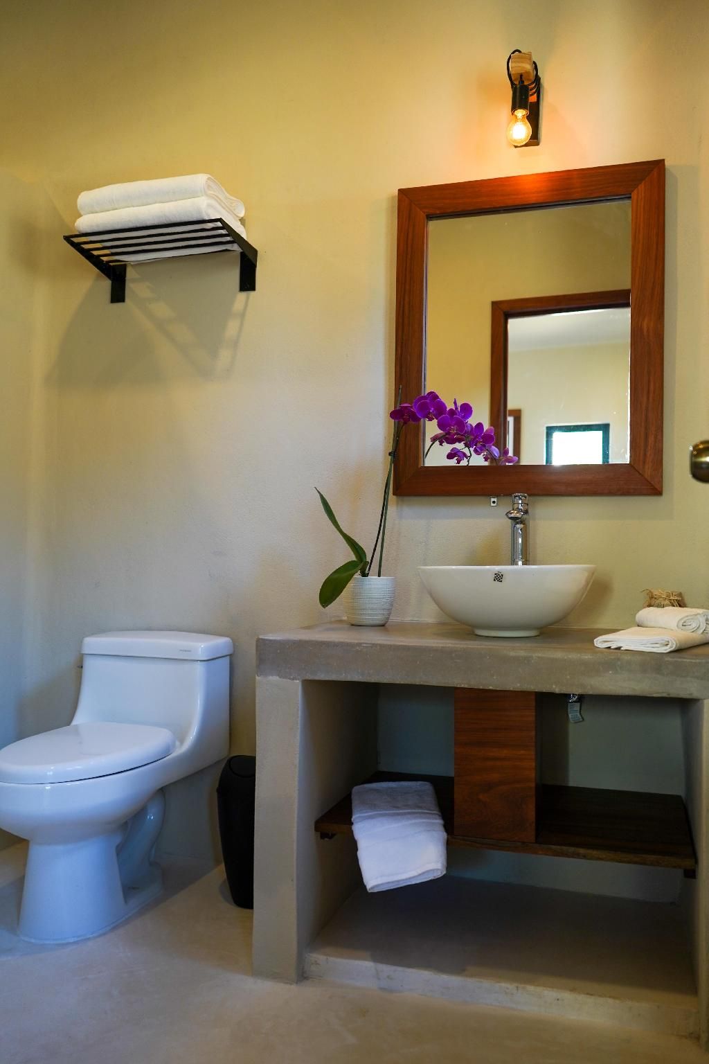 BLUE PALM BACALAR  Twin 3