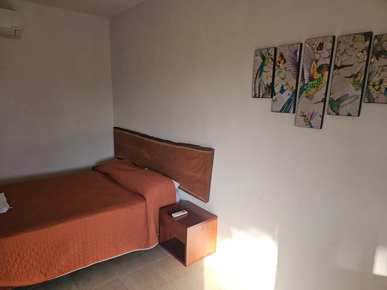 Hotel luz de luna Economy Single Room