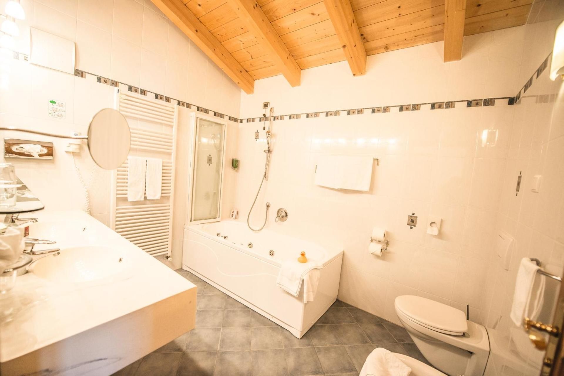 Hotel Plunhof Suite with Mountain View 2