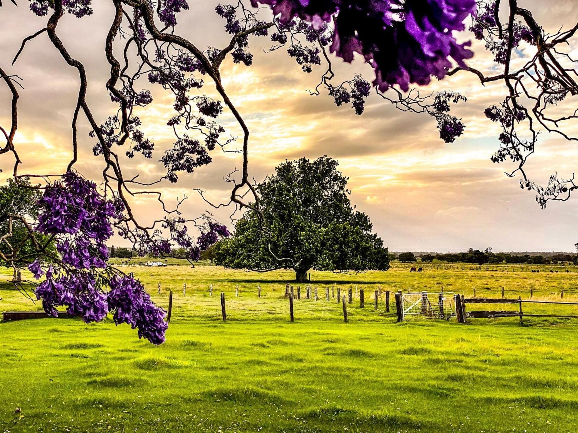 surrounding environment