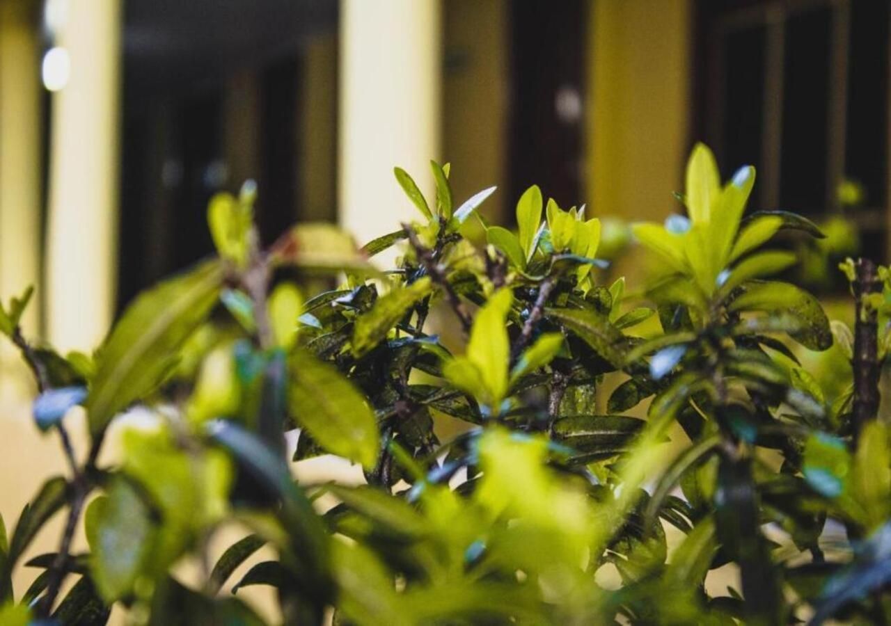 Hotel Santo Antoninho