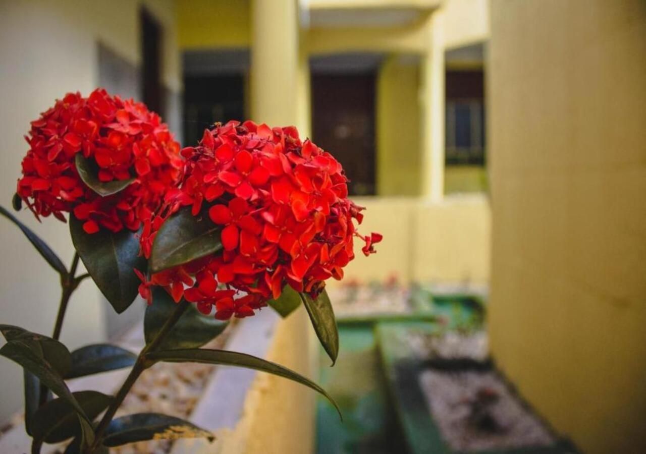 Hotel Santo Antoninho