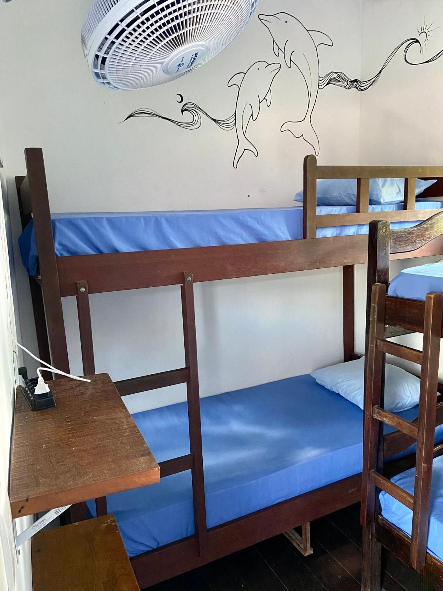 Bunk Bed in Mixed Dormitory Room