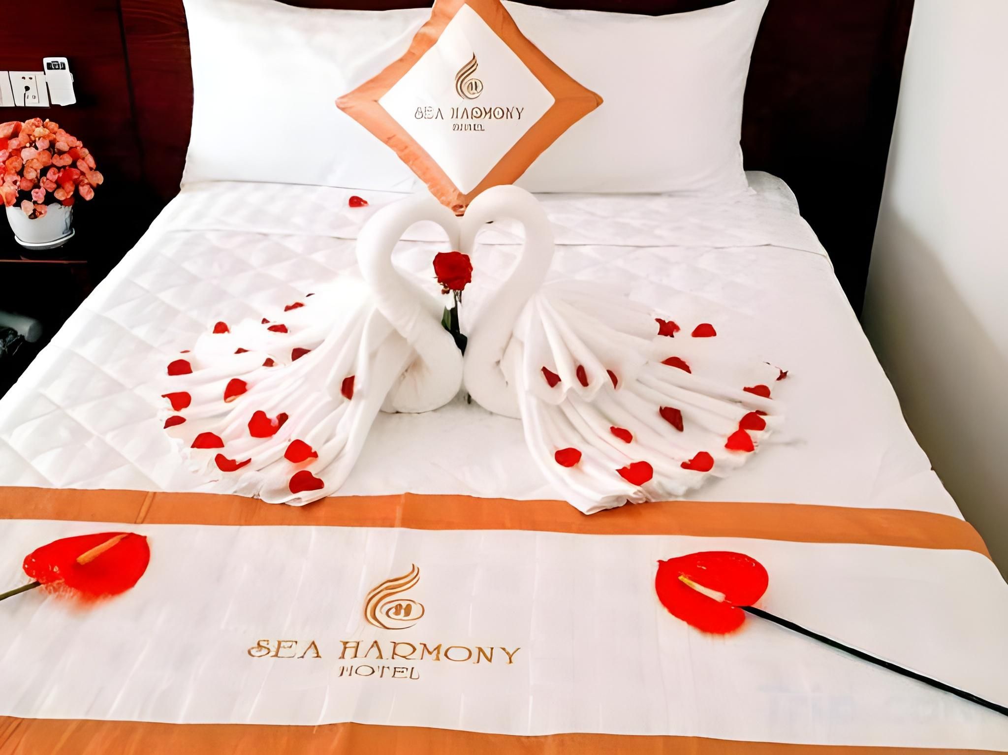 Xavia Hotel Quy Nhon Superior Double Room 2