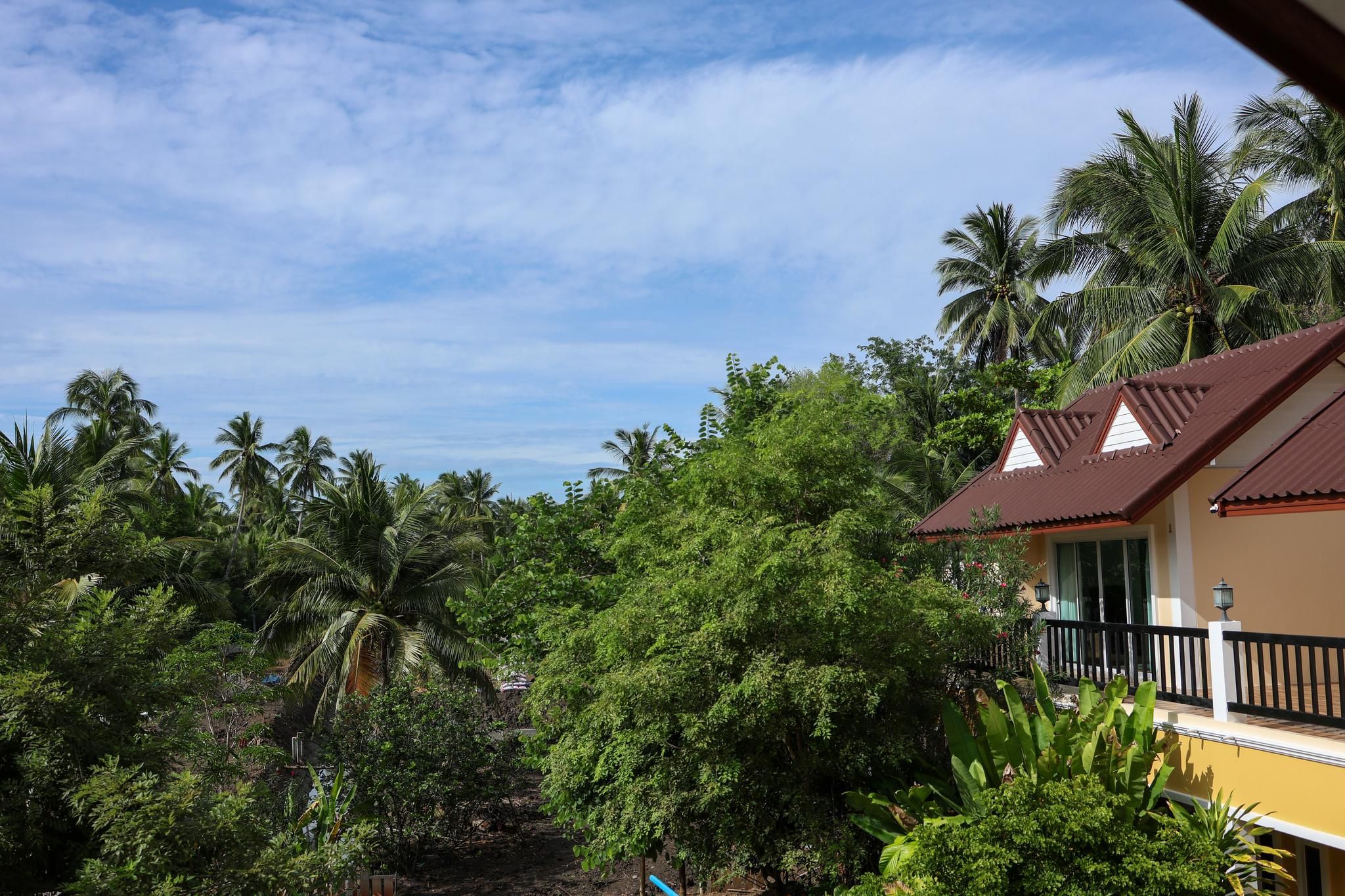Standard Garden View Room
