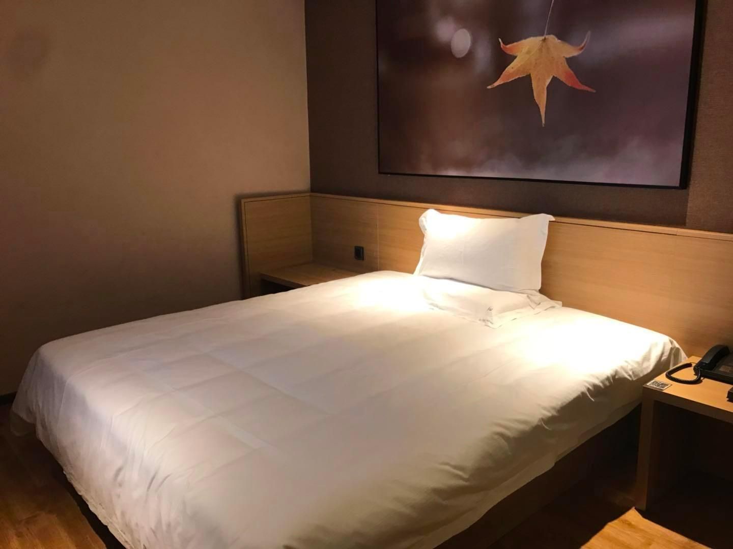 IU Compact U - Comfort Bed Room
