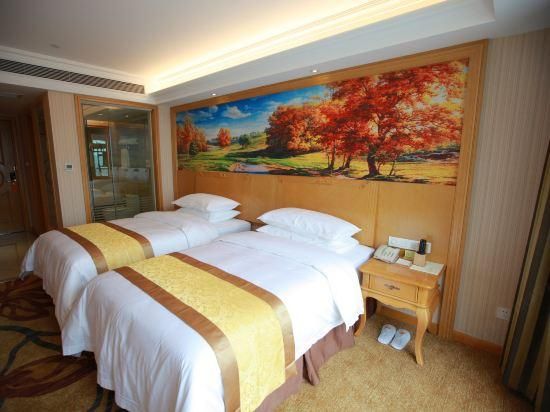 Vienna - Functional Chess Room With Twin Bed