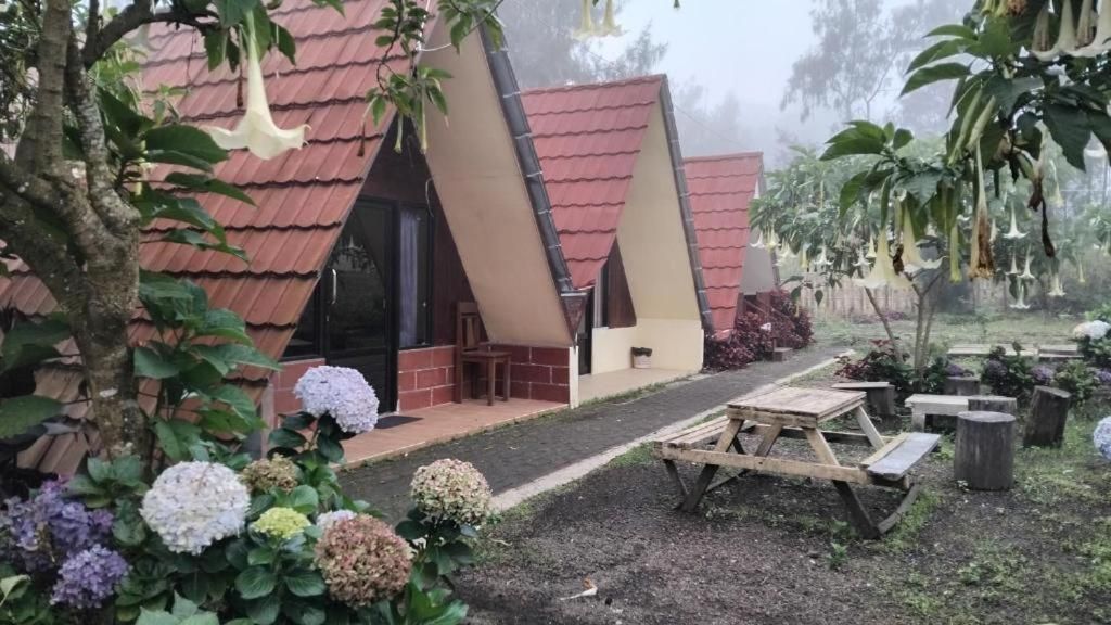 Rante Homestay & Cafe