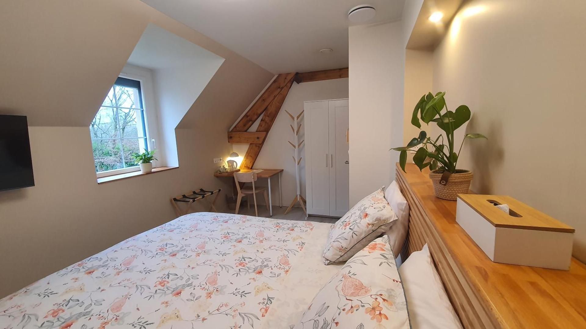 Double or Twin Room with Private Bathroom
