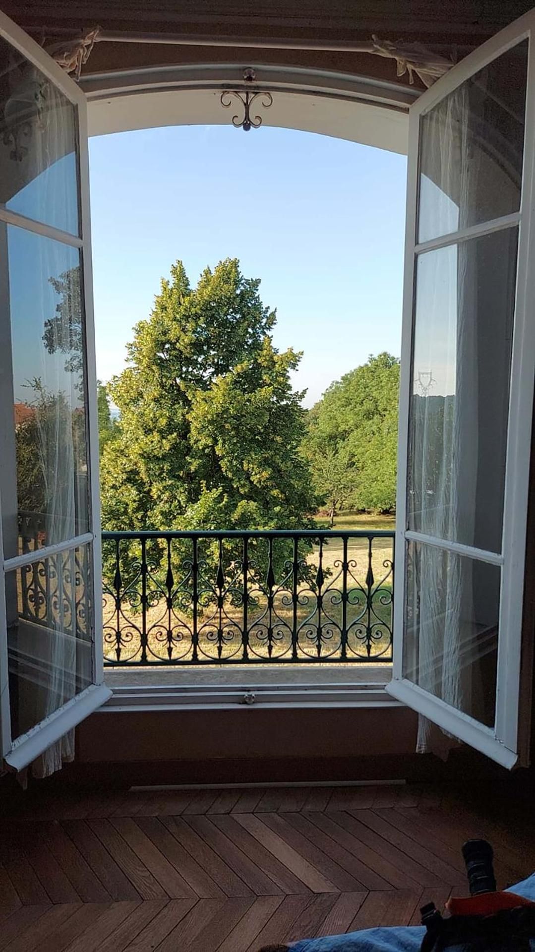 King Room with Garden View
