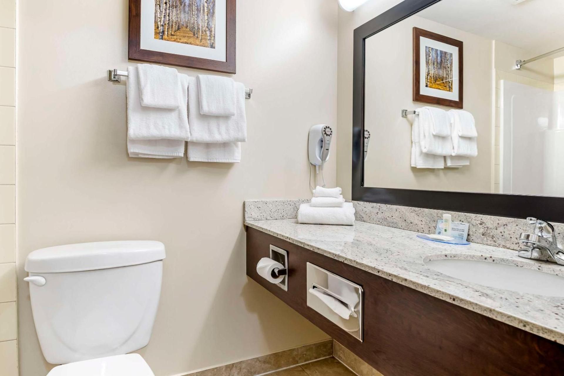 King Room - Non-Smoking