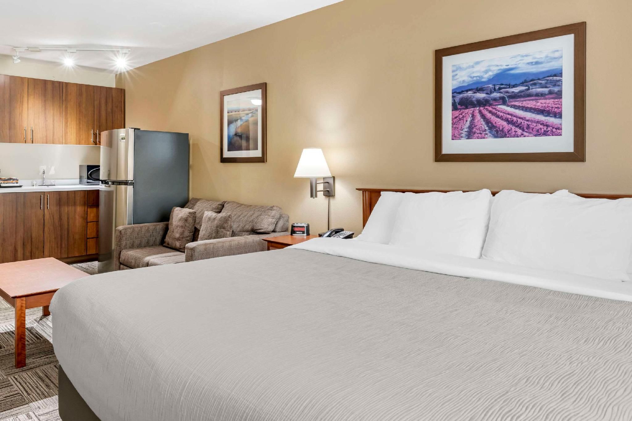 1 King Bed, Efficiency, Nonsmoking, Upgrade