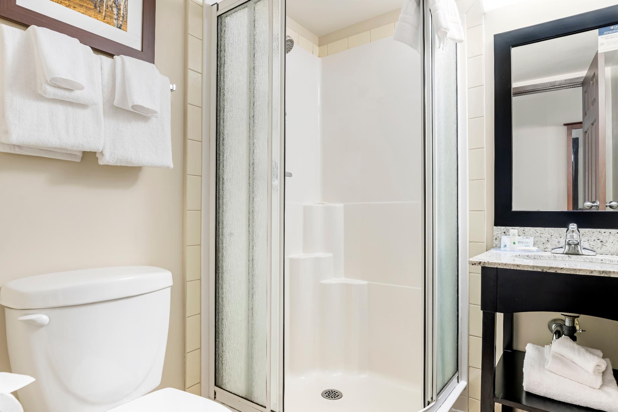 Quality Inn Airport 1 King Bed, Efficiency, Nonsmoking, Upgrade 2