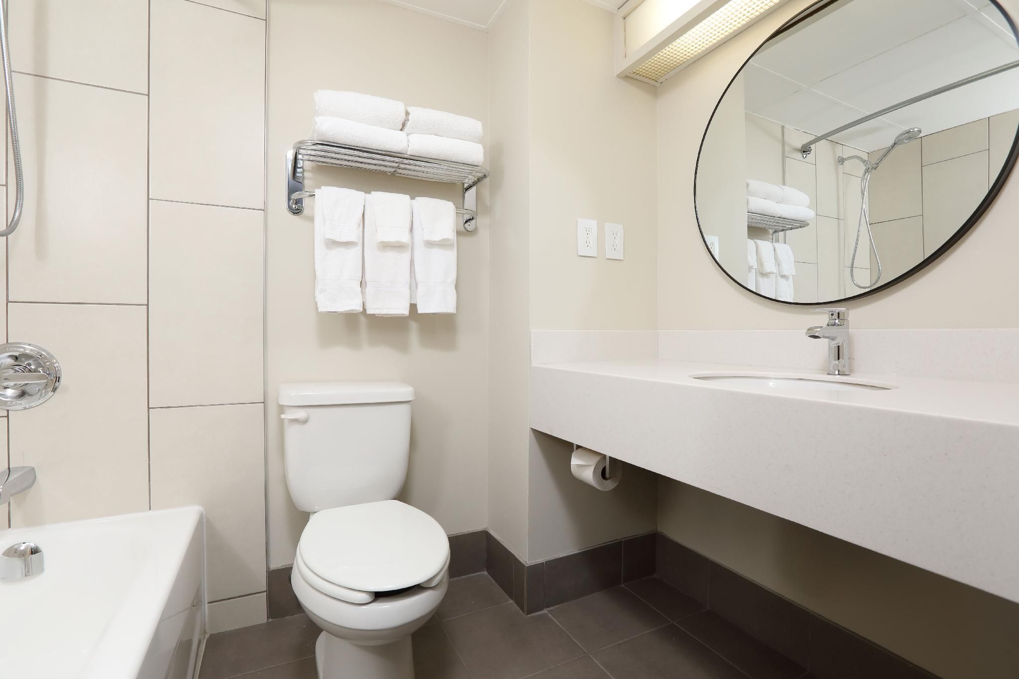 Canad Inns Destination Centre Polo Park One Queen with PullOut 3