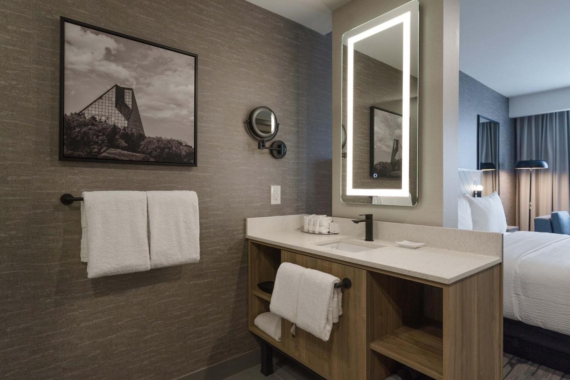 Standard Room, 1 King Bed, Sofa Bed, Euro Bathroom