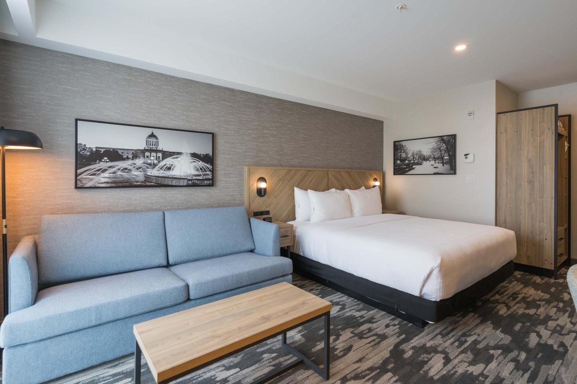 Standard Room, 1 King Bed, Sofa Bed