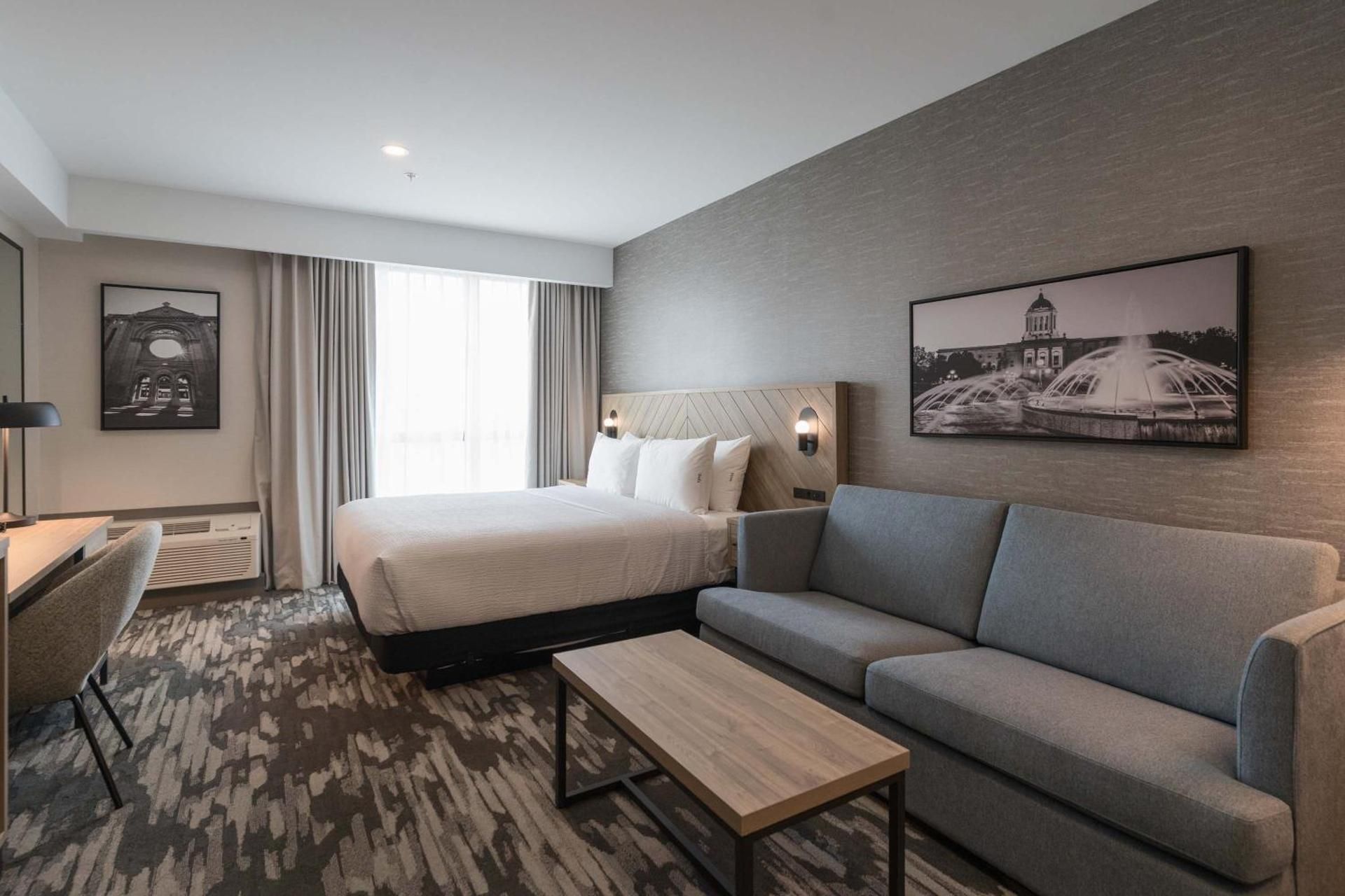 Standard Room, 1 King Bed, Sofa Bed, Euro Bathroom