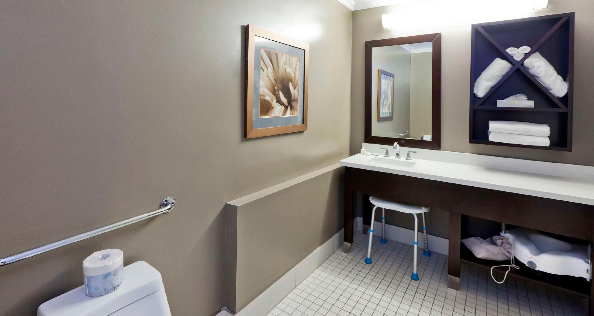 Accessibility - 1 Queen, Roll-in Shower, Deluxe Room, Nonsmoking