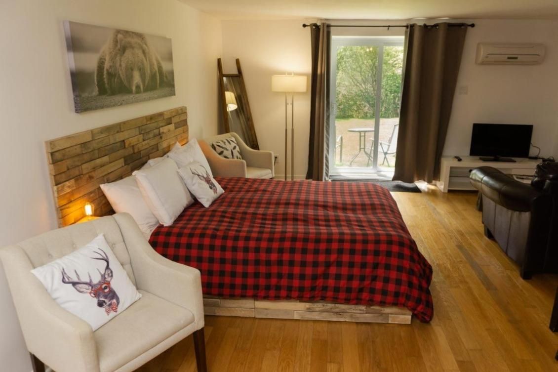 Studio with Sofa Bed