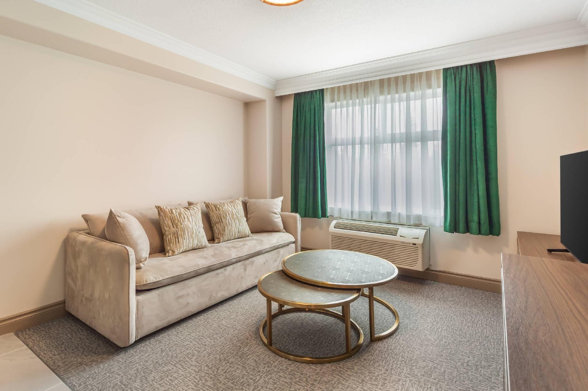 1 King Bed, Suite, Nonsmoking